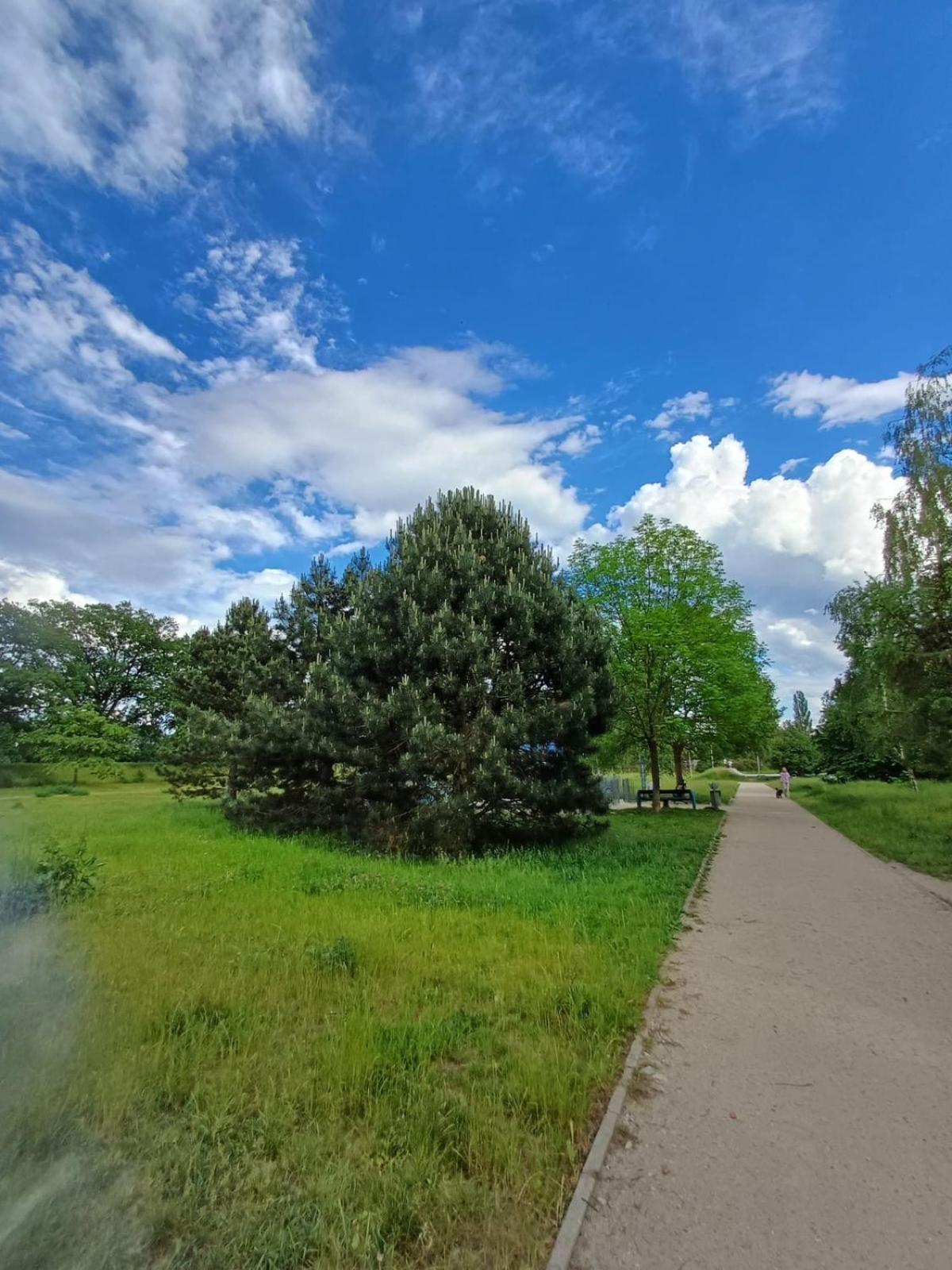 Rodzinny Apartament Blisko Hali Stulecia I Zoo Wroclaw Bagian luar foto